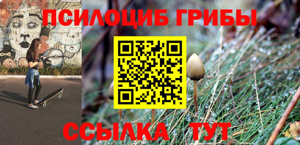 Шебекино  Галлюциногенные грибы мицелий  Вход с VPN 